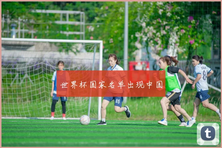 世界杯国家名单出现中国