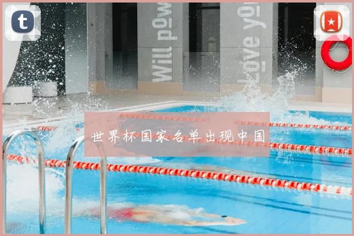 世界杯国家名单出现中国