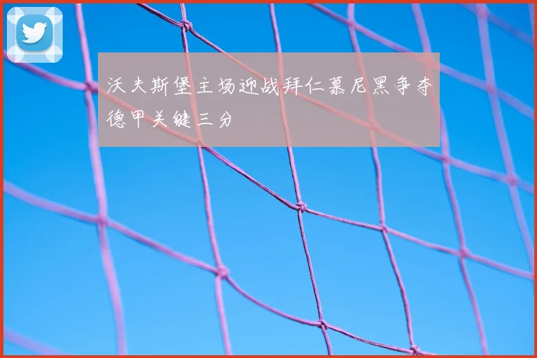 沃夫斯堡主场迎战拜仁慕尼黑争夺德甲关键三分