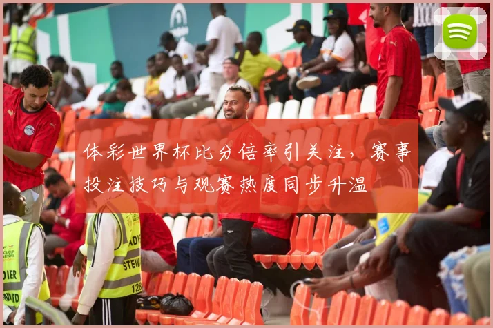 体彩世界杯比分倍率引关注，赛事投注技巧与观赛热度同步升温